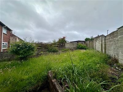 Picture 19